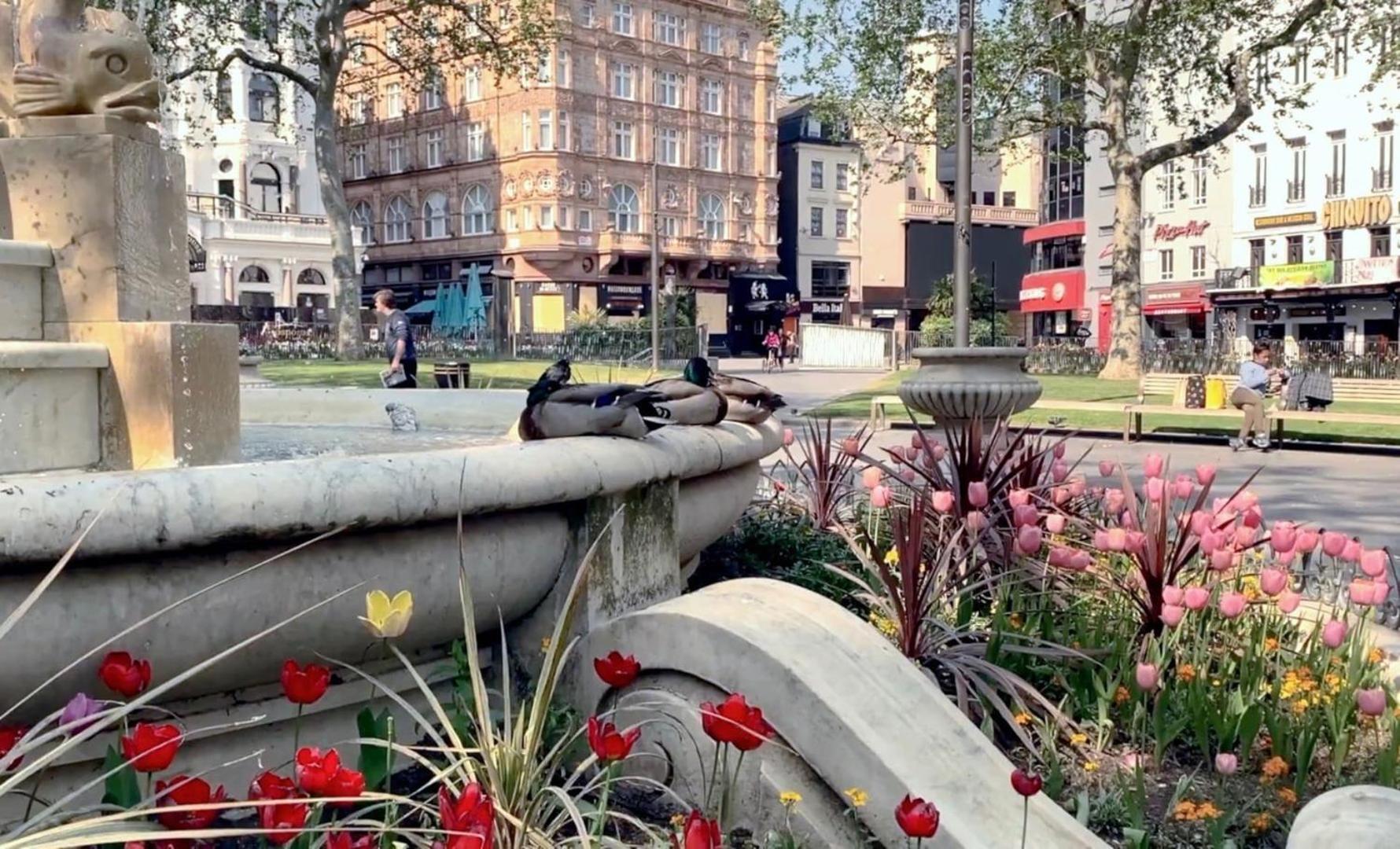 Fantastic 1 Bedroom Flat Leicester Square West End Λονδίνο Εξωτερικό φωτογραφία